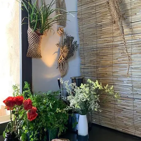 Maison Charmante Au Bord Du Rhone. Holiday home Arles